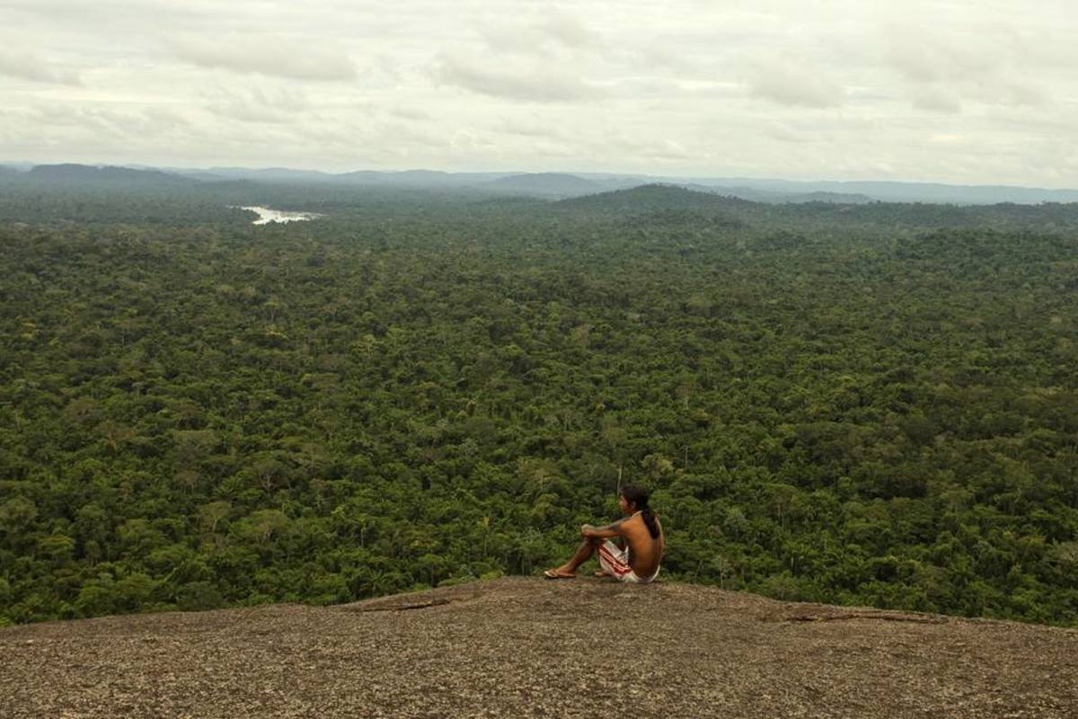 Résultats - Appel à manifestation d'intérêt