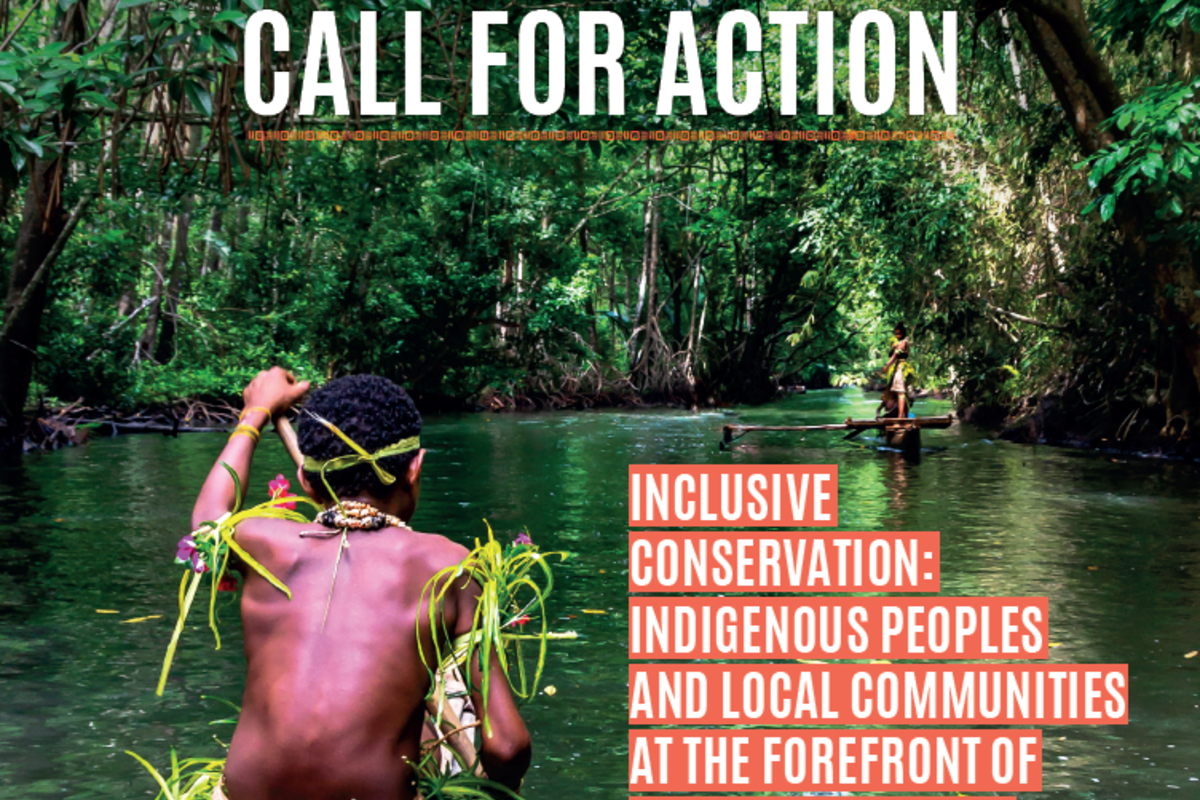 FCI lance son appel à l'action pour la protection des forêts!
