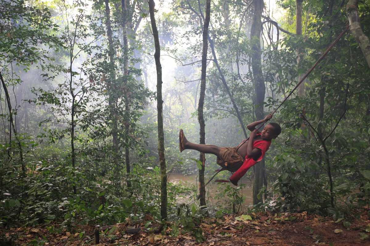 Launch of the Forests and Communities Initiative