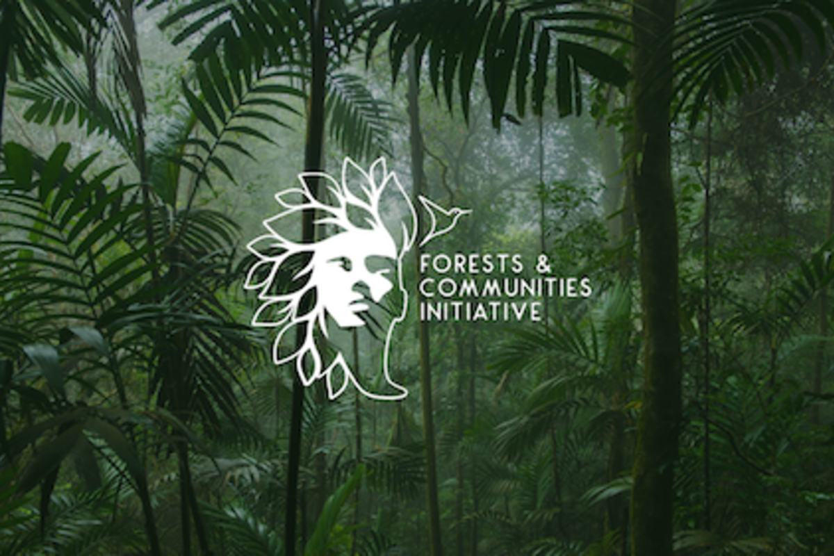 The Forests and Communities Initiative organises a series of webinars