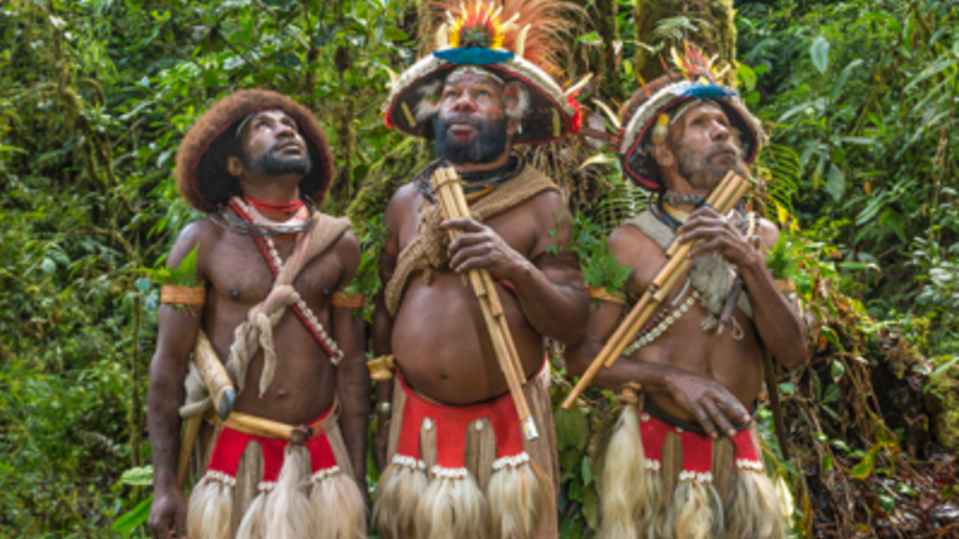 Training campaign for forest sentinel  communities in Papua New Guinea