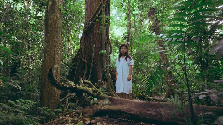 Biodiversity Protection in the Upper Jurua of the Amazon Rainforest