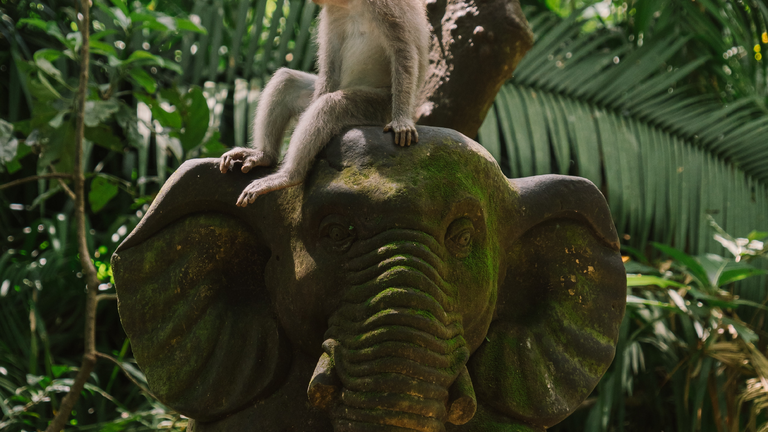 Landscape and local efforts to protect  biodiversity and secure livelihoods